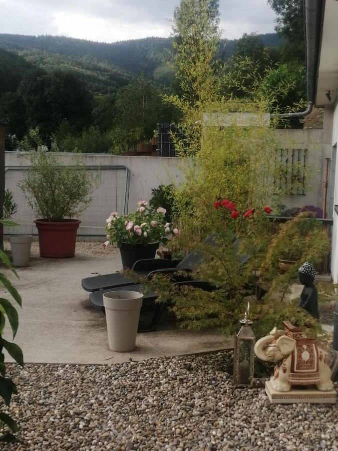 L'Ecrin Des Biches Bed and Breakfast Sainte-Marie-aux-Mines Eksteriør billede
